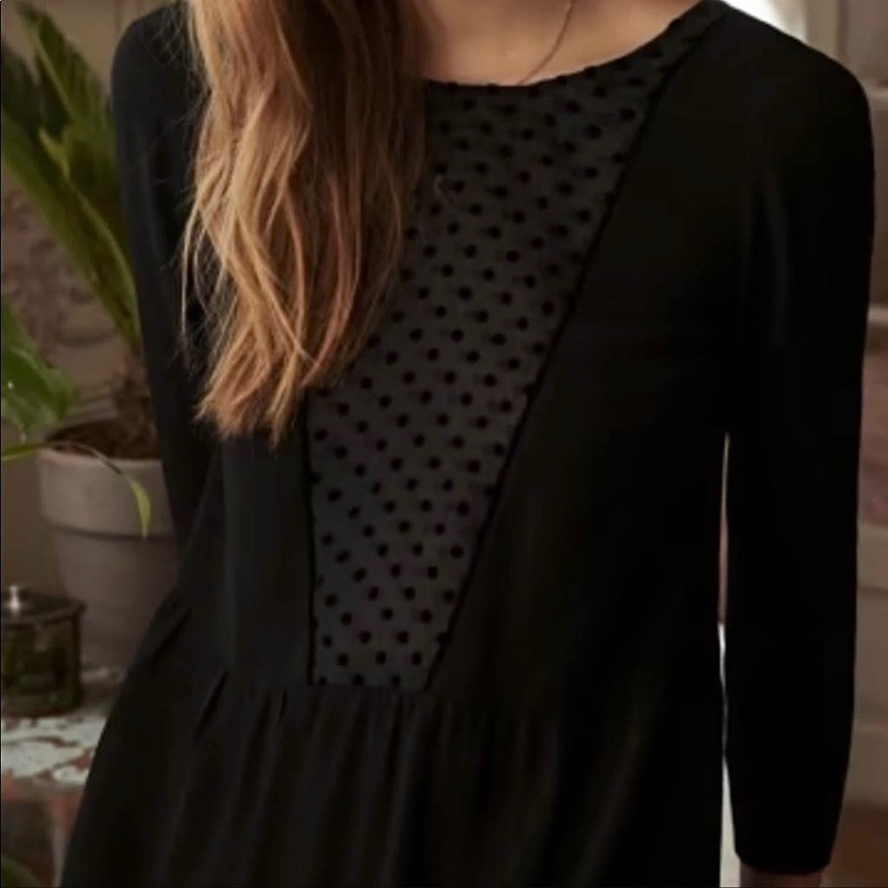 Sezane Black Blouse Sheer Lace Polka Dot size 36